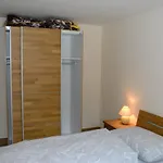 Haus Orta Apartment *