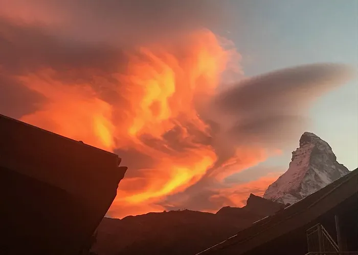 아파트 하우스 오르타 *